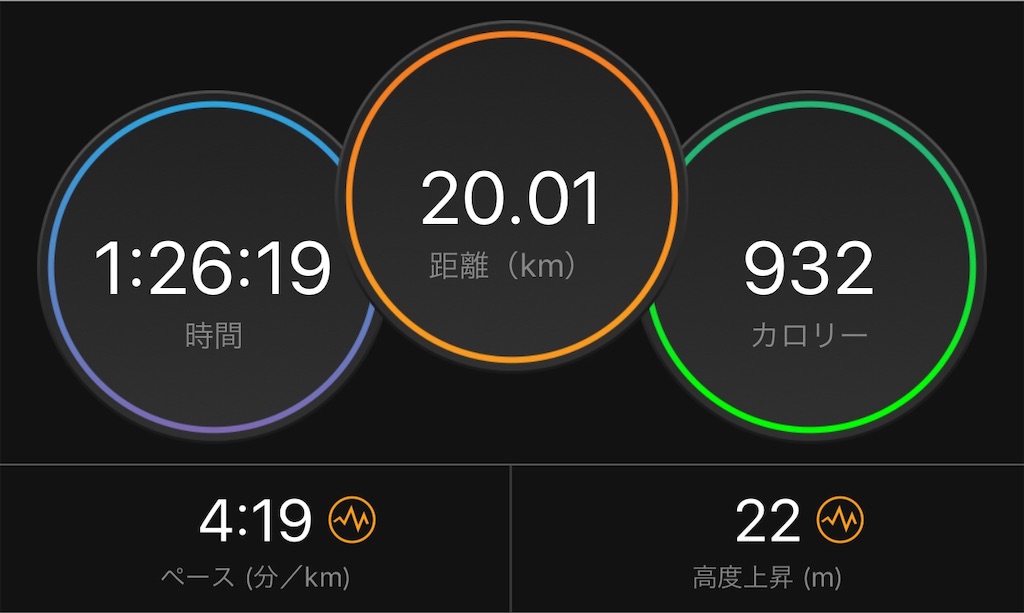 f:id:gorigorinopapa:20191121125228j:image