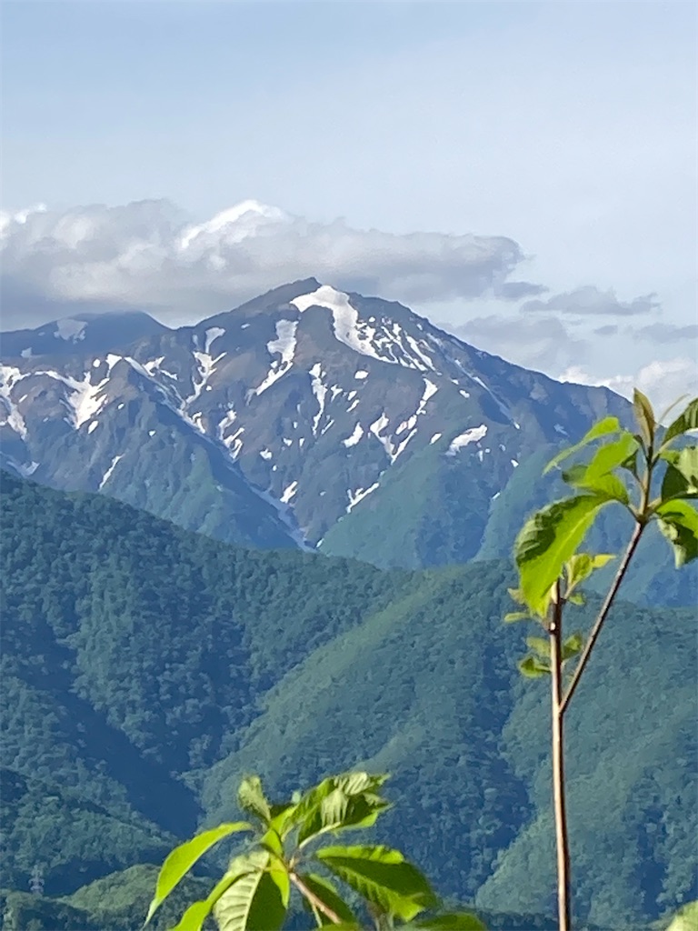 f:id:gorigorinopapa:20220605211320j:image f:id:gorigorinopapa:20220605211320j:image
