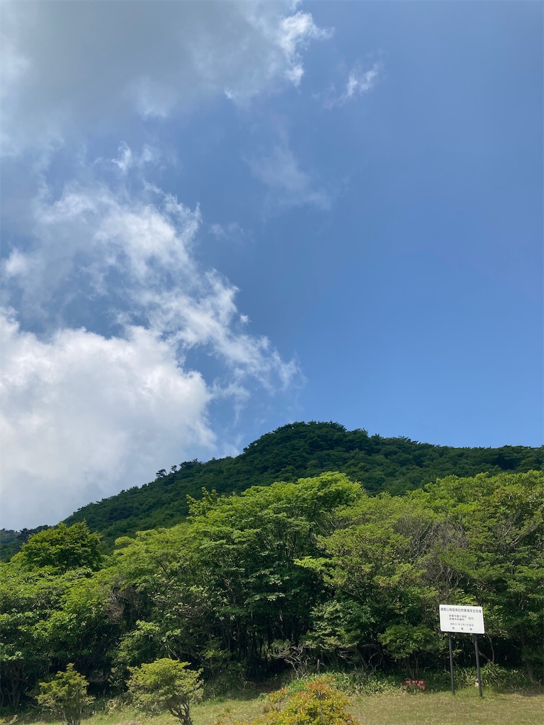 f:id:gorigorinopapa:20220620215017j:image