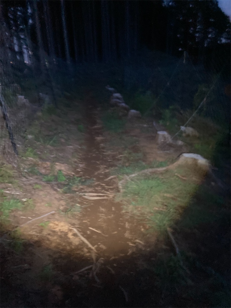 f:id:gorigorinopapa:20220911055016j:image f:id:gorigorinopapa:20220911055016j:image