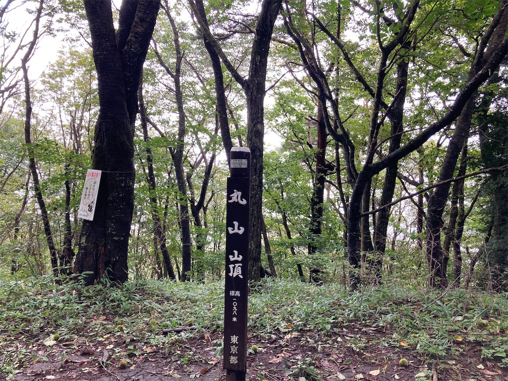 f:id:gorigorinopapa:20220923215239j:image