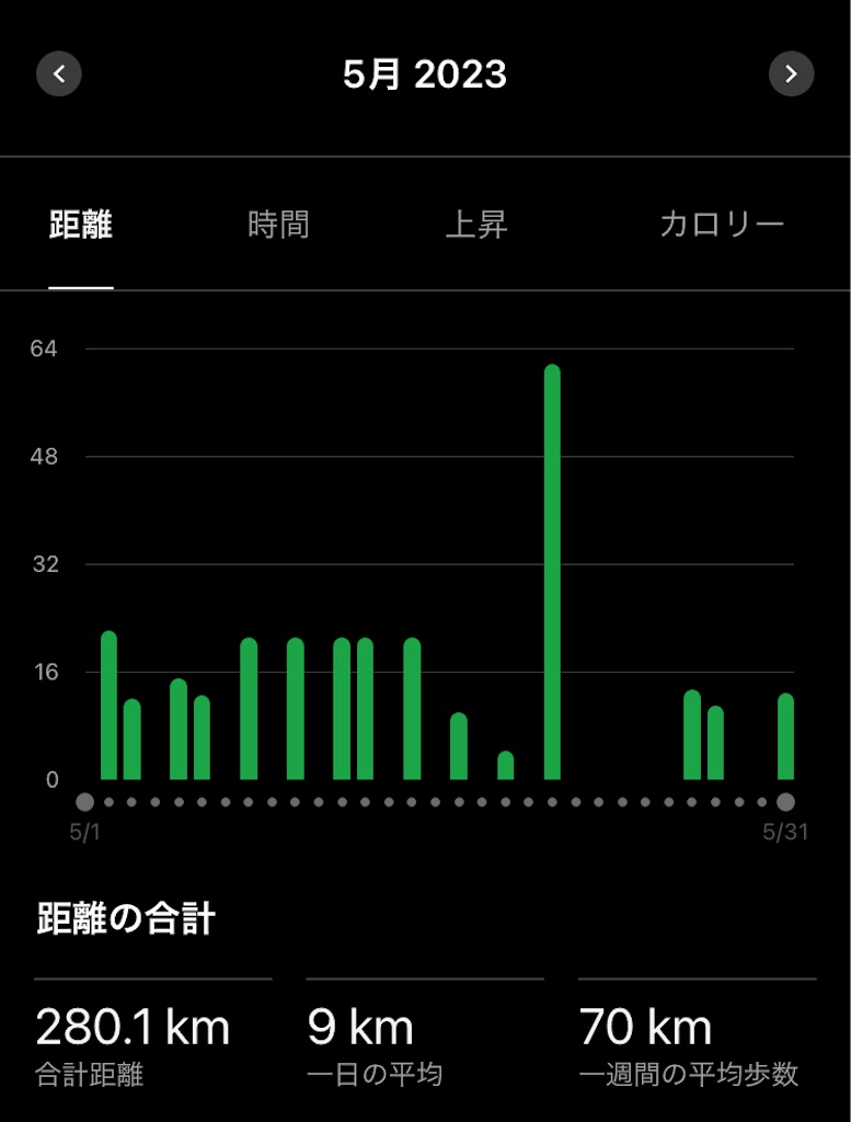 f:id:gorigorinopapa:20230617210246j:image