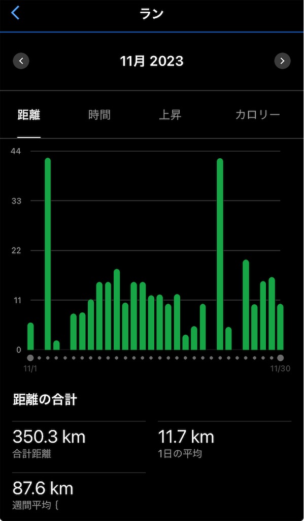 f:id:gorigorinopapa:20231206200253j:image
