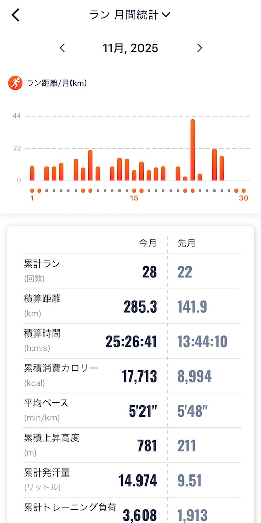 f:id:gorigorinopapa:20251207213918j:image