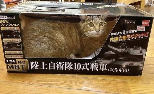 f:id:gorilla-boots:20140522113712j:image