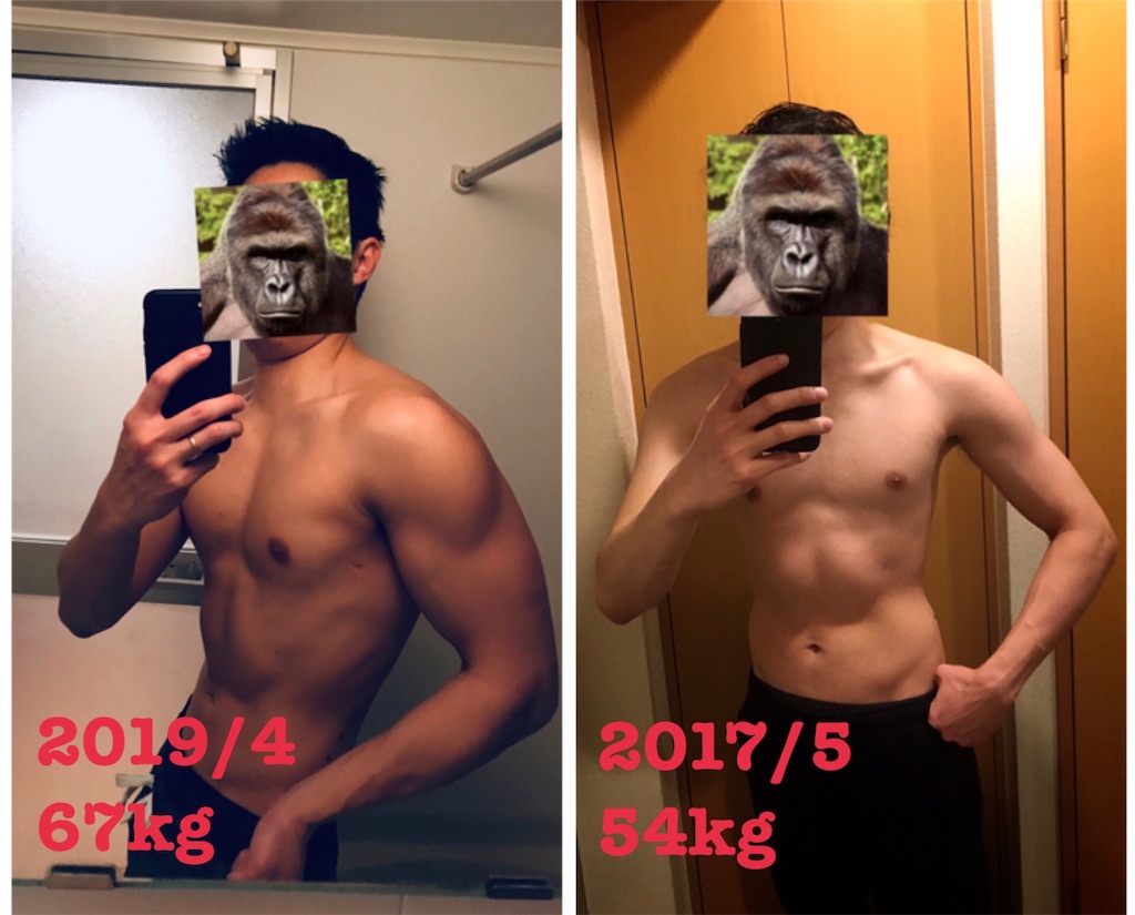 f:id:gorillakozeki:20190428131750j:image