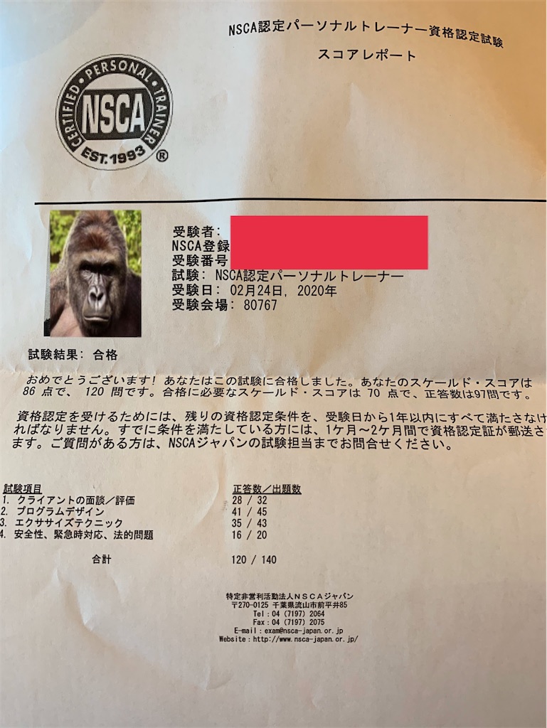 f:id:gorillakozeki:20200305230932j:image f:id:gorillakozeki:20200305230932j:image
