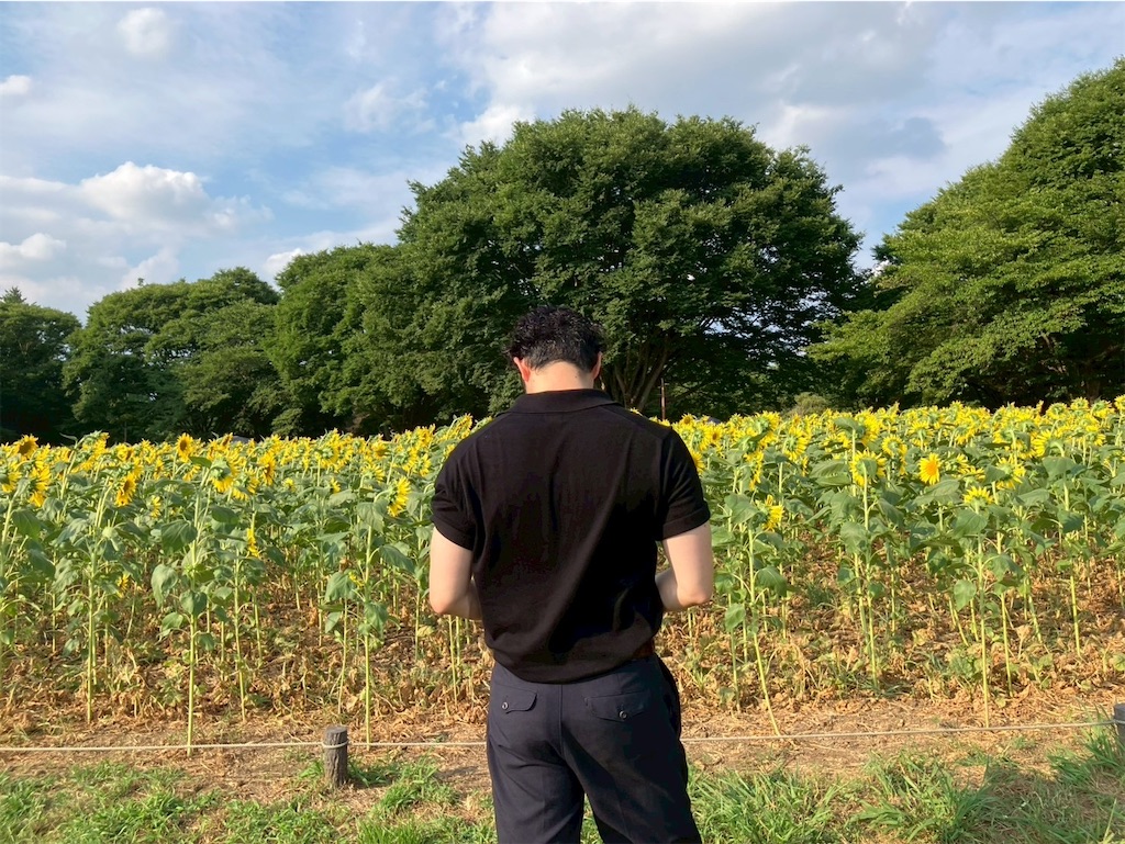 f:id:gorillakozeki:20250810131947j:image