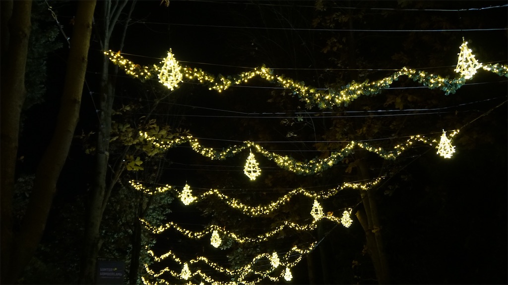 f:id:gorillaweathercharizard:20201122034324j:image