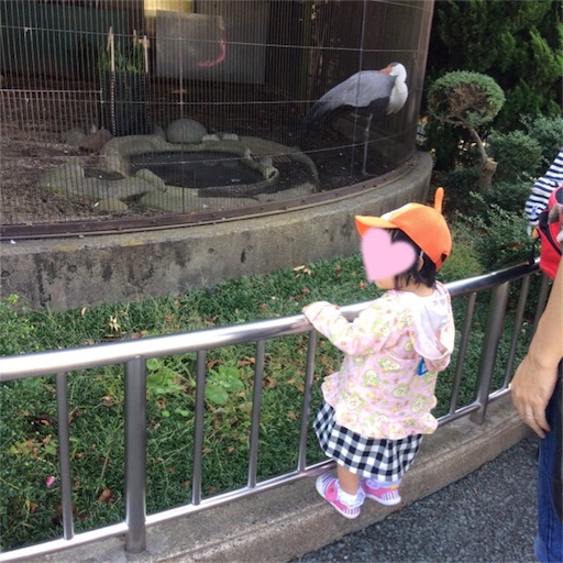 f:id:gorinosuke:20171028150204j:image