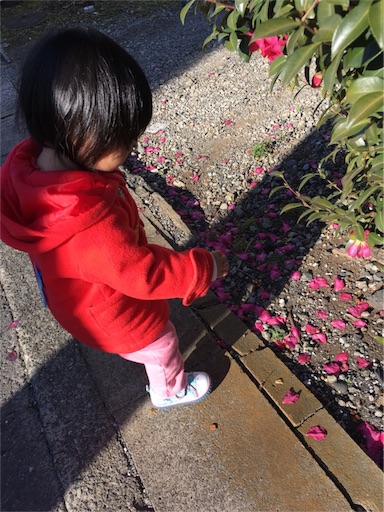 f:id:gorinosuke:20171205200126j:image