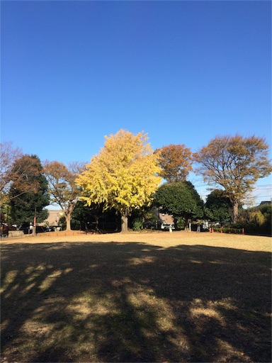 f:id:gorinosuke:20171210081316j:image