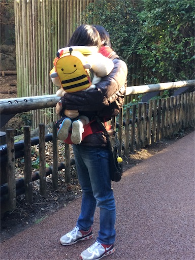f:id:gorinosuke:20171230084045j:image