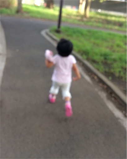 f:id:gorinosuke:20180907215838j:image f:id:gorinosuke:20180907215838j:image