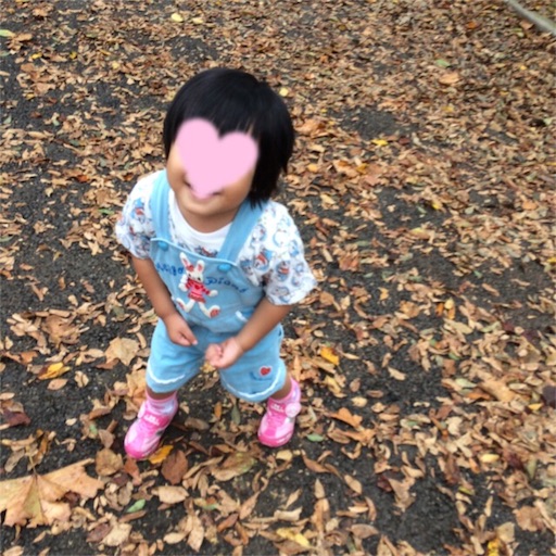 f:id:gorinosuke:20181012194928j:image