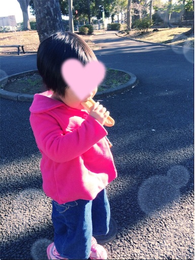 f:id:gorinosuke:20181229101545j:image