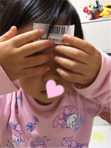 f:id:gorinosuke:20190204114350j:image