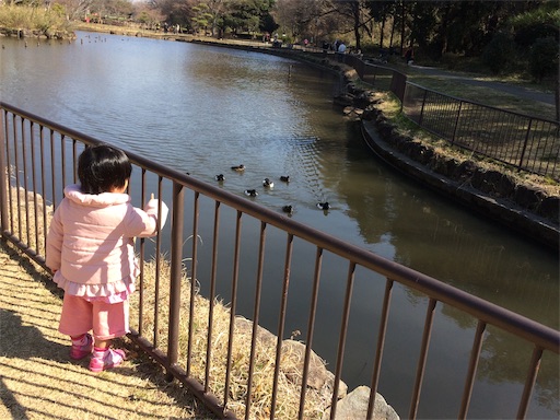 f:id:gorinosuke:20190309150826j:image