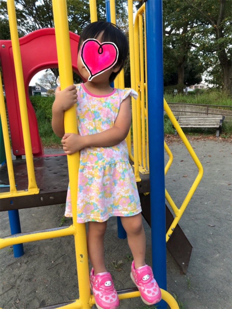 f:id:gorinosuke:20190930184844j:image f:id:gorinosuke:20190930184844j:image