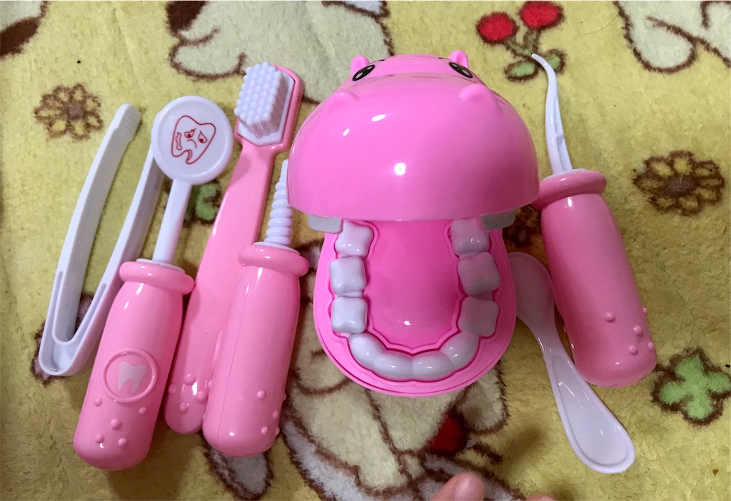 歯みがき対策 かばさんの歯医者さんと障害者歯科 どんな空でも 自閉症の娘と家族の日常 歯みがき対策 かばさんの歯医者さんと障害者歯科 どんな空でも 自閉症の娘と家族の日常