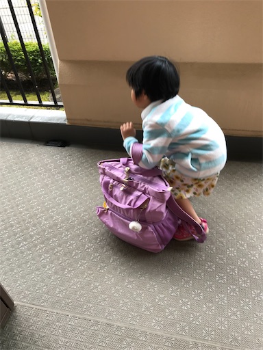 f:id:gorinosuke:20200408072439j:image