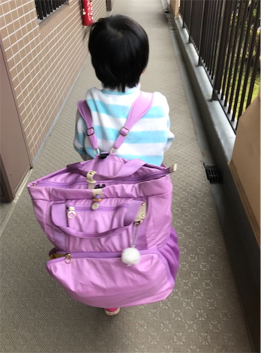 f:id:gorinosuke:20200408082245j:image