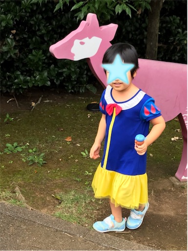 f:id:gorinosuke:20200920140356j:plain
