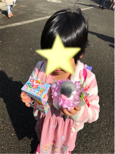 f:id:gorinosuke:20201103204745j:plain