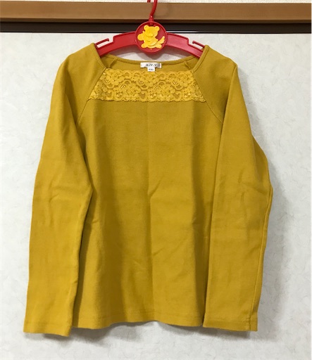 f:id:gorinosuke:20201111202646j:plain