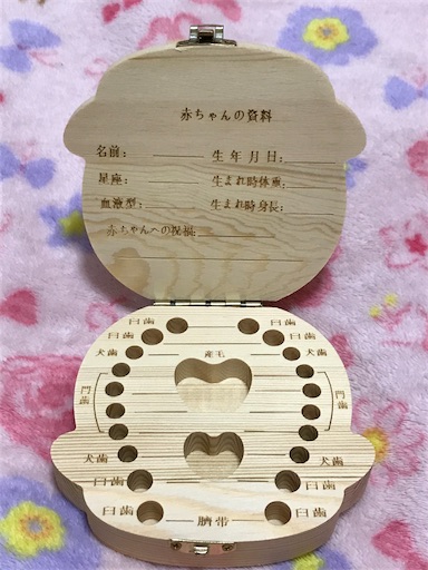 f:id:gorinosuke:20201113155829j:plain