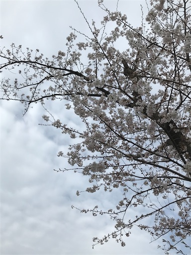 f:id:gorinosuke:20210325093025j:plain