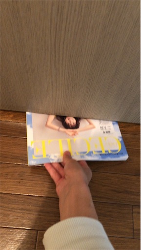 f:id:gorinosuke:20210513065206j:plain