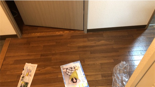 f:id:gorinosuke:20210513071008j:plain