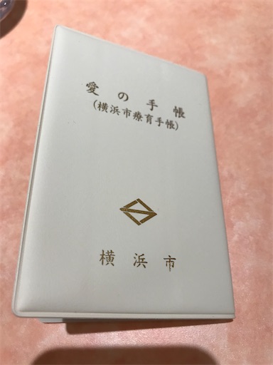 f:id:gorinosuke:20210615160513j:plain