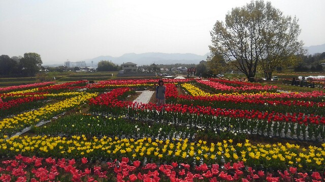 岡原花公園 おかばる花公園 ごりぴよ日誌