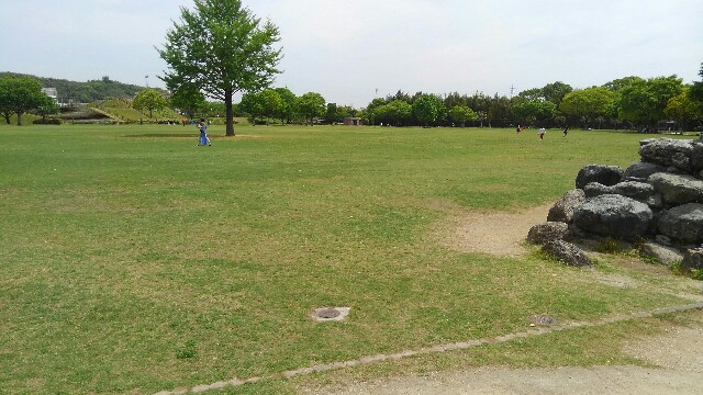 f:id:goripiyo:20190509224536j:image