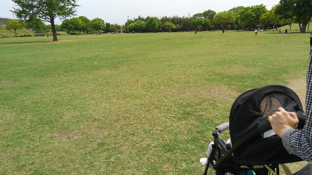 f:id:goripiyo:20190509224731j:image