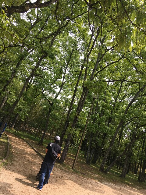 f:id:goripiyo:20190509225407j:image