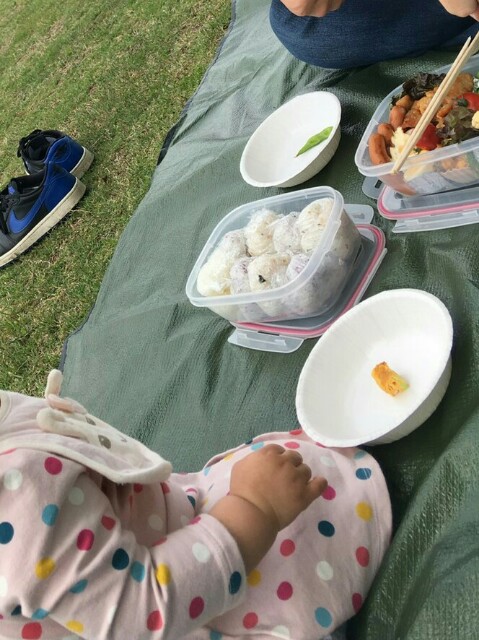 f:id:goripiyo:20190509225500j:image