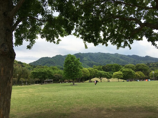 f:id:goripiyo:20190509225529j:image