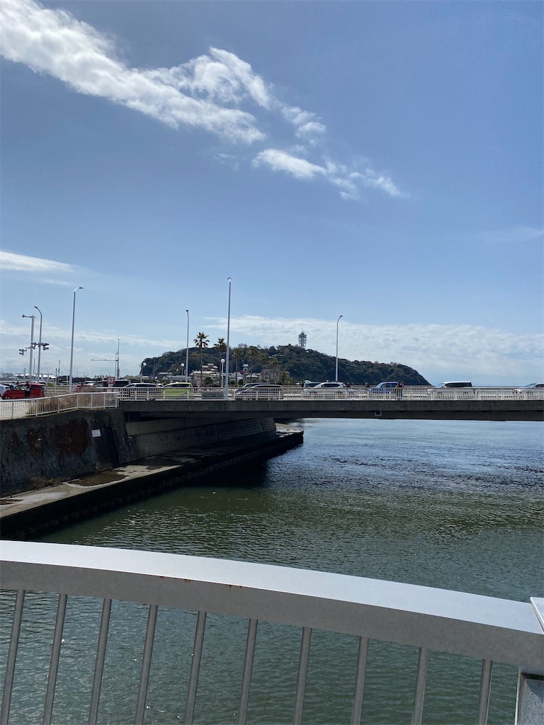 f:id:gorirashachou:20220324185319j:image