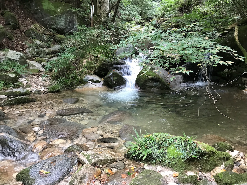f:id:goro-sakamoto:20190917085048j:image
