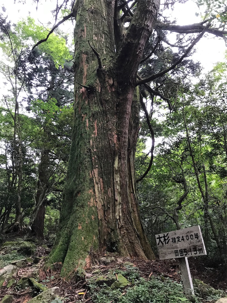 f:id:goro-sakamoto:20190917085132j:image