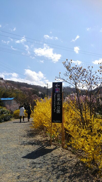 f:id:gorochan75:20190406215343j:plain f:id:gorochan75:20190406215343j:plain