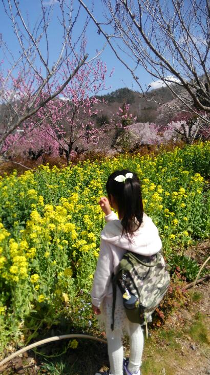 f:id:gorochan75:20190406215409j:plain f:id:gorochan75:20190406215409j:plain