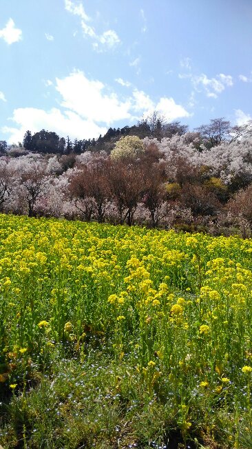 f:id:gorochan75:20190406215433j:plain f:id:gorochan75:20190406215433j:plain