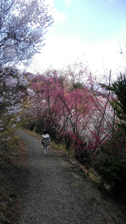 f:id:gorochan75:20190406215938j:plain f:id:gorochan75:20190406215938j:plain