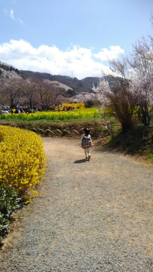 f:id:gorochan75:20190407144143j:plain f:id:gorochan75:20190407144143j:plain