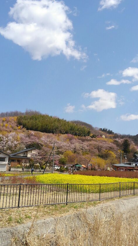 f:id:gorochan75:20190407144155j:plain f:id:gorochan75:20190407144155j:plain