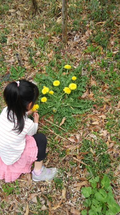 f:id:gorochan75:20190421220425j:plain f:id:gorochan75:20190421220425j:plain